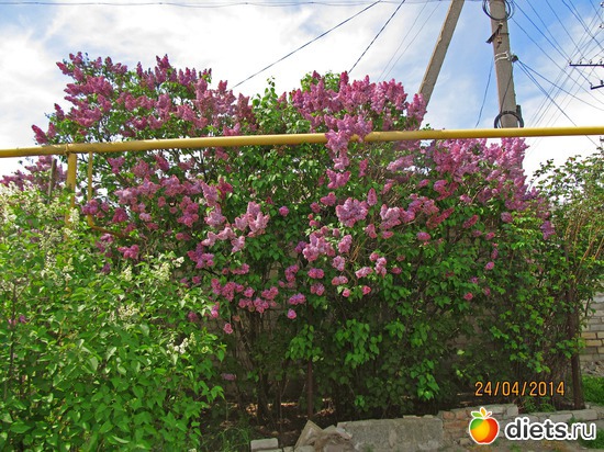 68 ����: �����-����-����� 2013 - 2015