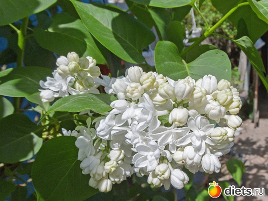 69 ����: �����-����-����� 2013 - 2015