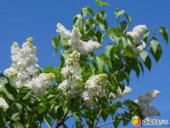 70 ����: �����-����-����� 2013 - 2015