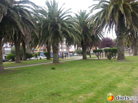 11 фото: нужное