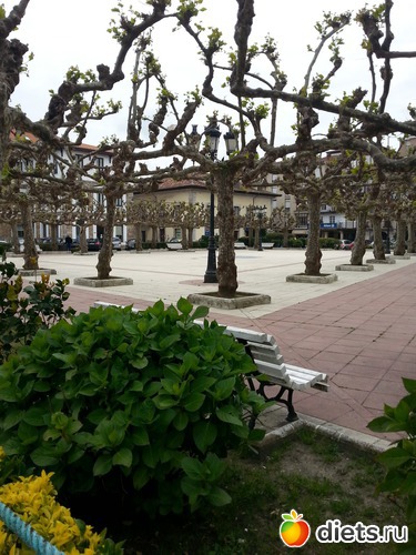 22 фото: нужное