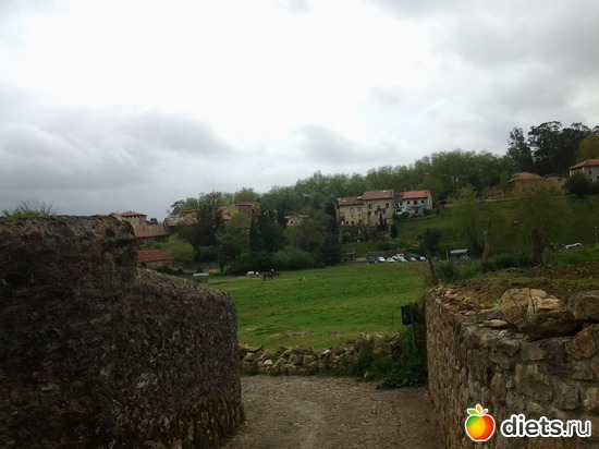 32 фото: нужное