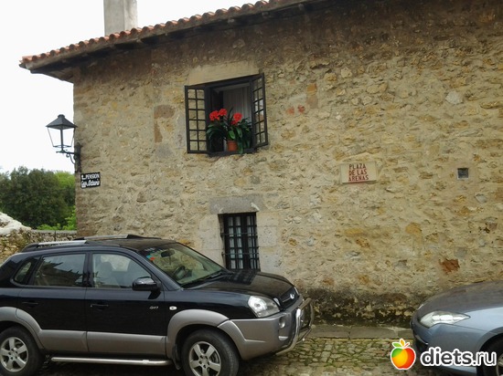 37 фото: нужное