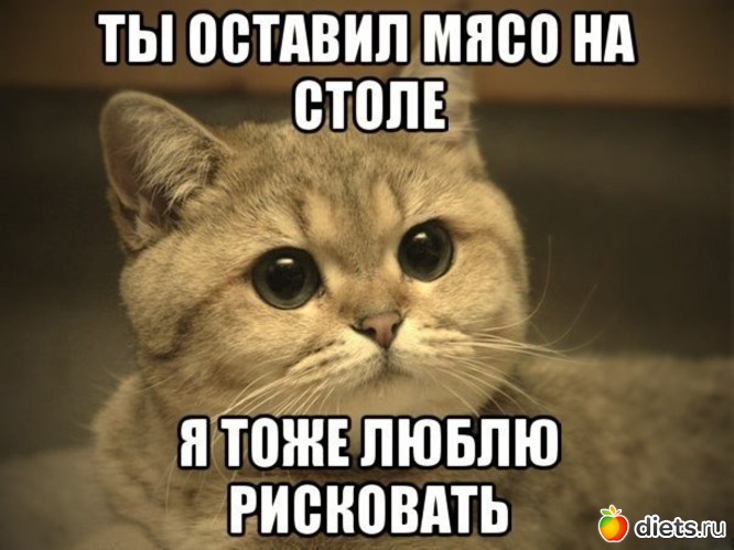 266 ����: �� ���������