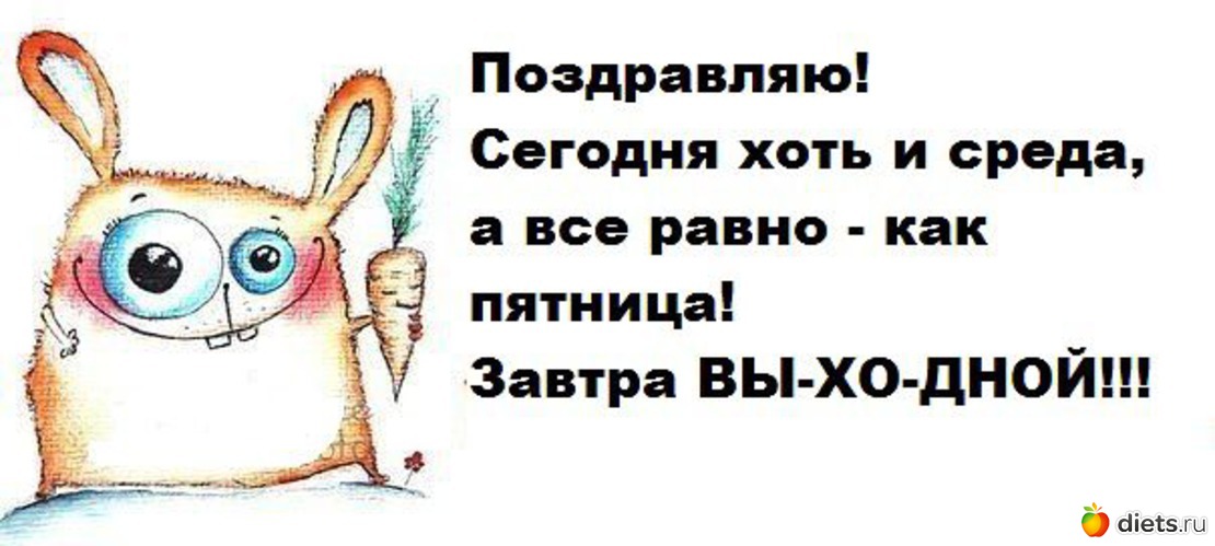 17 ����: �