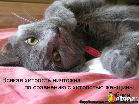 3 ����: ������..