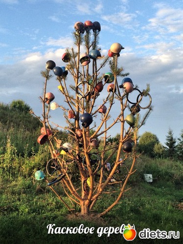 10 фото: разное