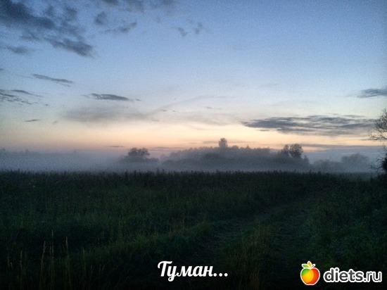 13 ����: ������