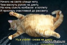 ���������� � ����������))))))))
