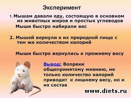 ���������� � ����������))))))))