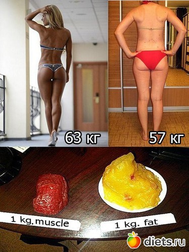 2 ����: ������
