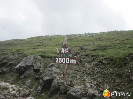 4 ����: ���� 2014