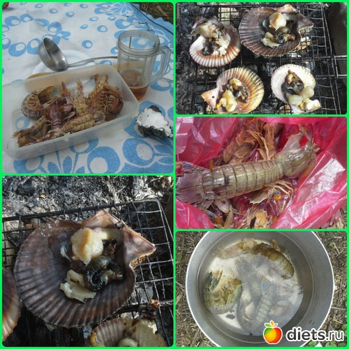 ���� ������,����������  :-), ������: ���� 2014