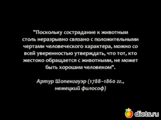 5 фото: Под впечатлением после фильма "Земляне"