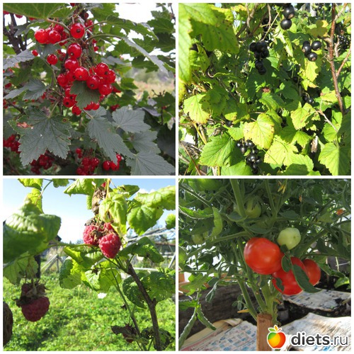 7 ����: �����