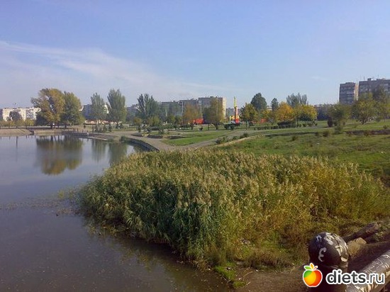 5 ����: �������