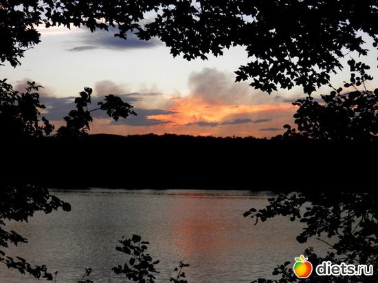 11 ����: �������