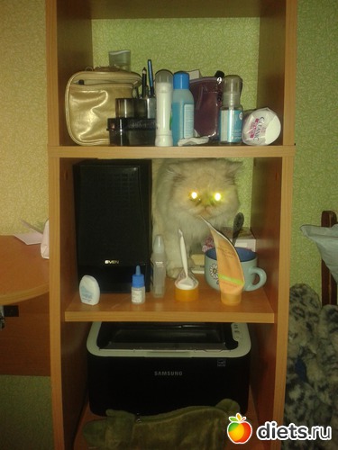 4 ����: ����� � �������