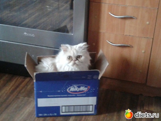 5 ����: ����� � �������