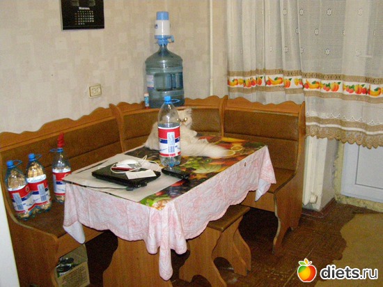 6 ����: ����� � �������