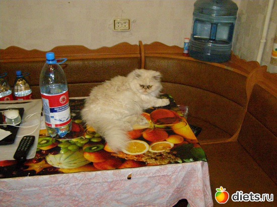 7 ����: ����� � �������