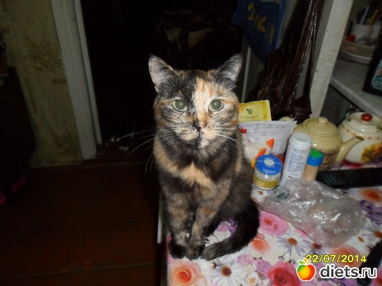 82 фото: Мои дети хвостатые и полосатые.