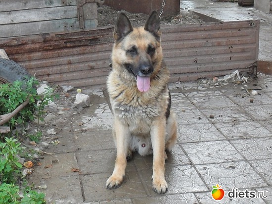 84 фото: Мои дети хвостатые и полосатые.