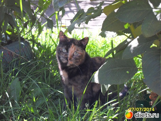 89 ����: ��� ���� ��������� � ���������.