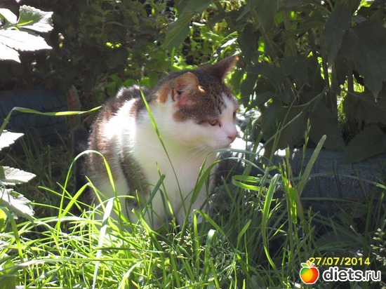 90 ����: ��� ���� ��������� � ���������.