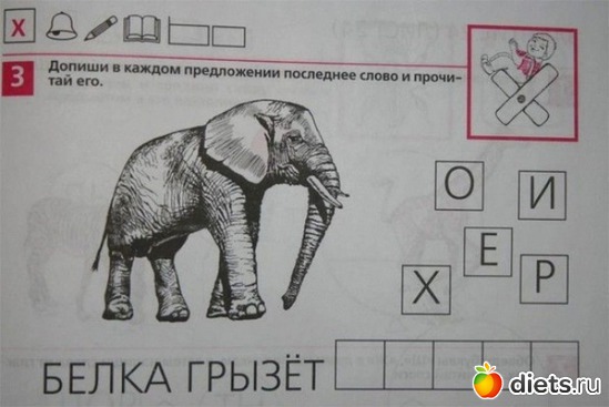 5 ����: �������