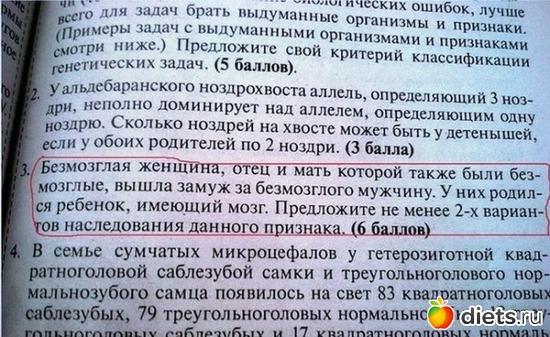 7 ����: �������