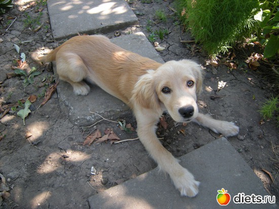 27.08.14 ����� 6 ��, ������: ��� �������