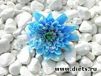 �������� ����, ������� �������� ������� ���� ����!!!