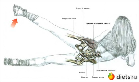 35 ����: �����, ����