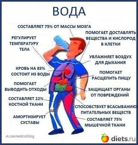 ��� ���������