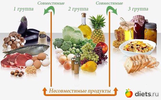 49 ����: ��� ���������