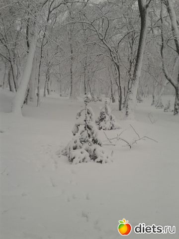 владивосток