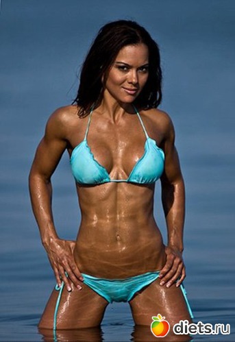 56 ����: ����������