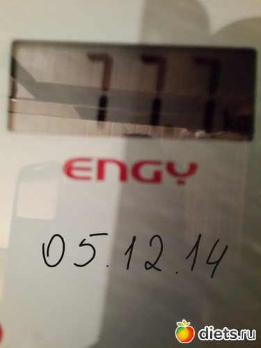 24 ����: ����
