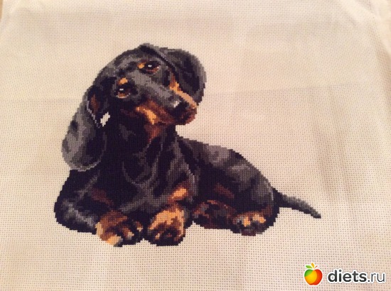 17 фото: Ну как-то так