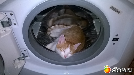 ����� ������ ��������, ������: ����� � ���....