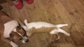 ��� ����� � �������...