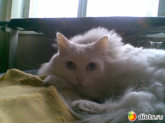 3 ����: ����������