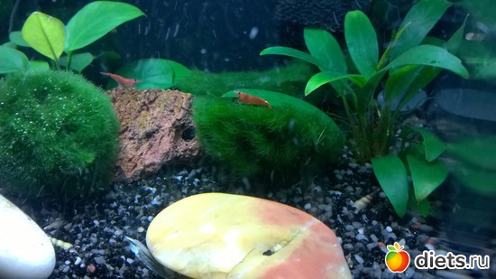 5 ����: ��� ��������� ����� ������