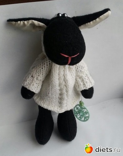 11 фото: Баранчик Шон