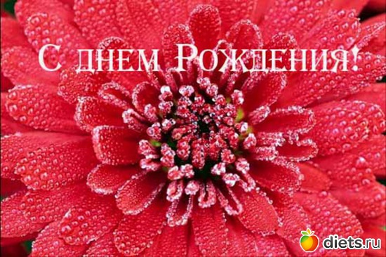 29 фото: поздравляюс Д.Р.