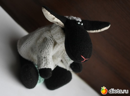 6 фото: Баранчик Шон