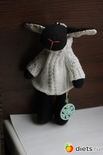 1 фото: Баранчик Шон