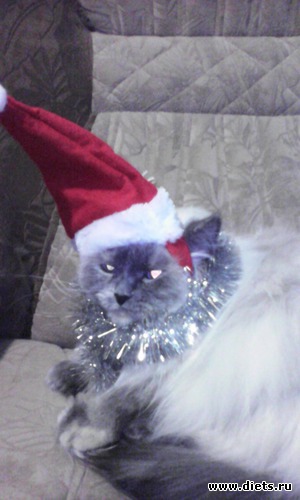 60 фото: разное-интересное)