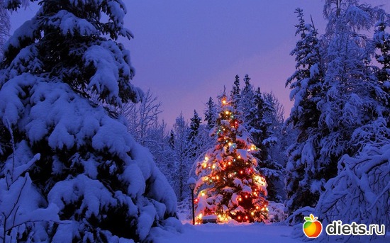 102 фото: Мой альбомчик